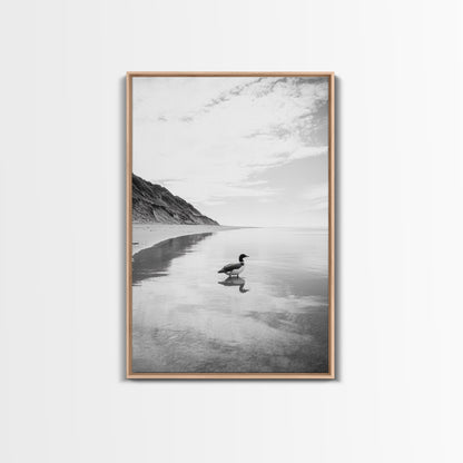 Lone Loon, Quiet Reflection, Coastal Bird, Framed Canvas Print, Nature Wall Art, Bathroom Decor, Serene Black and White Art