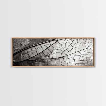 Macro Insect Wing, Abstract Nature Texture, Modern Neutral Wall Decor, Framed Canvas Print, Office Art, Monochrome Macro Photography