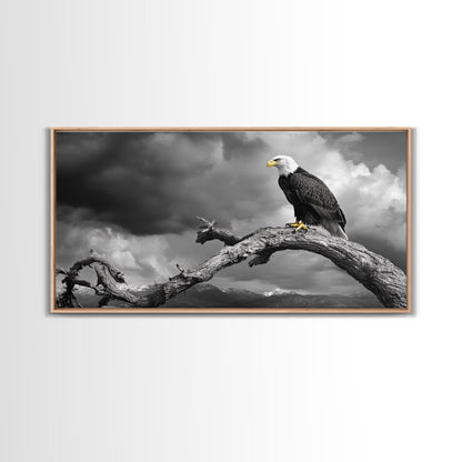 Eagle, Branch, Storm, Power and grace collide in this Framed Canvas Print of a majestic eagle perched before a storm, Living Room Wall Art