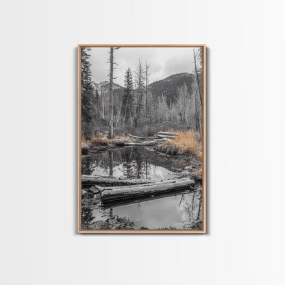 Forest Pond, Moody Woods, Black and White, Autumn Grass, Framed Canvas Print rustic cabin art, nature wall decor, woodland living room art