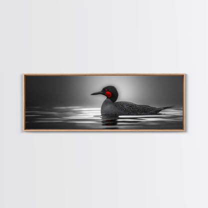 Red-Eyed Loon, Waterbird, Monochrome Beauty, Wildlife Portrait, Framed Canvas Print, Cabin Wall Art, Bird Lover Gift, Nature Photography