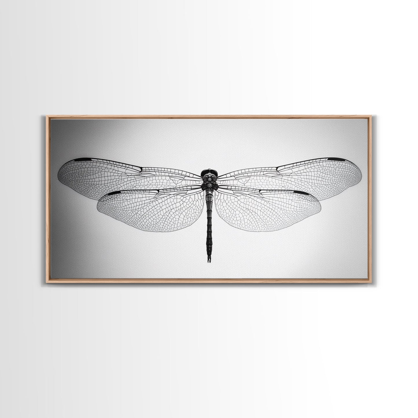 Dragonfly, line art, minimalist art, black and white art, nature painting, botanical prints, extra wide art, framed canvas print
