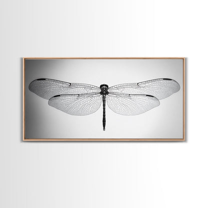 Dragonfly, line art, minimalist art, black and white art, nature painting, botanical prints, extra wide art, framed canvas print