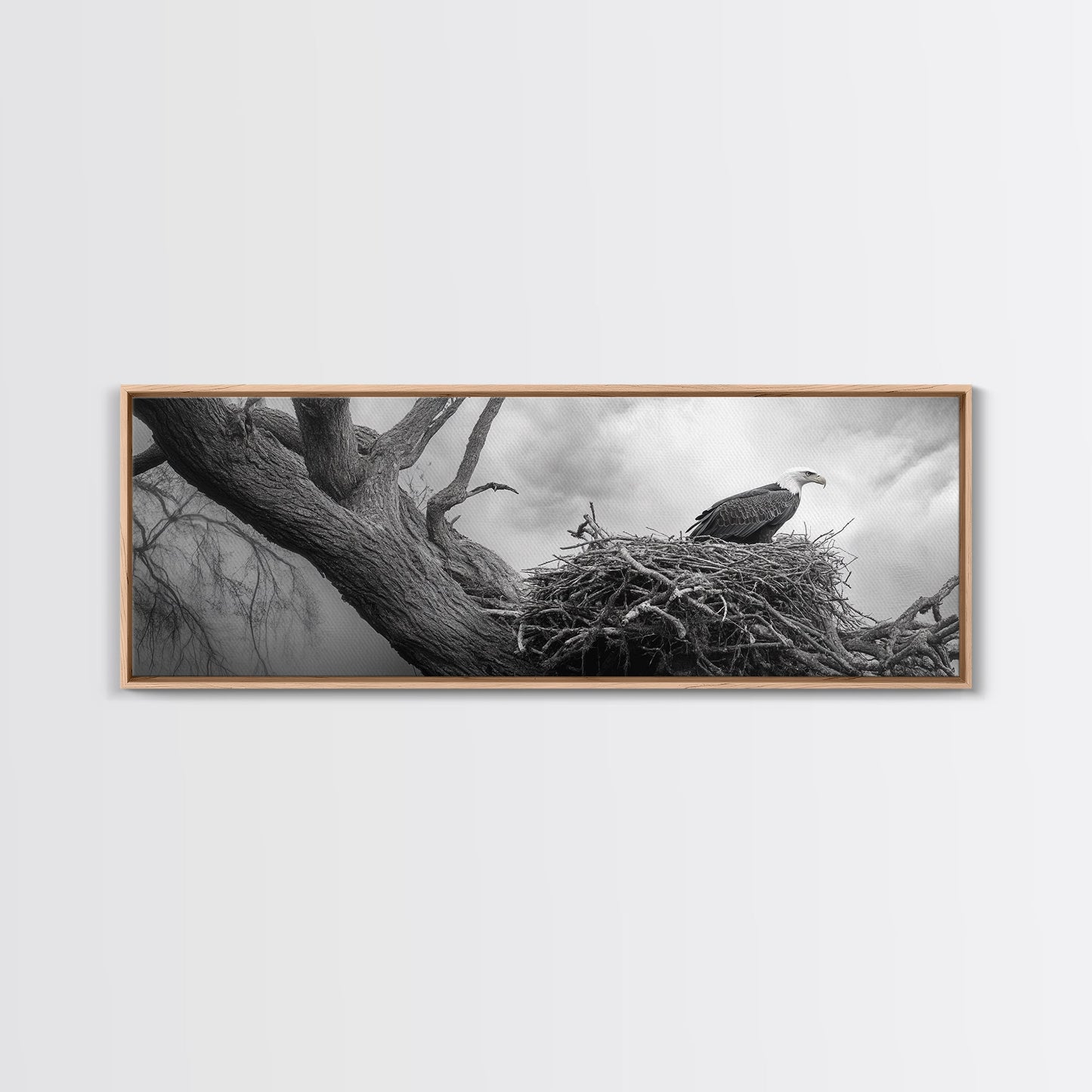 Bald Eagle Nest, Wildlife Art, Nature Photography, Moody Art, Rustic Decor, Horizontal Wall Art, Framed Canvas Print, Bedroom Art