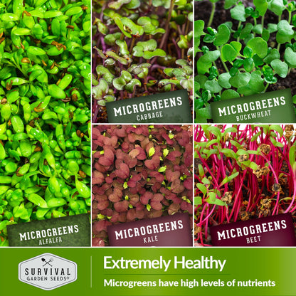 10-Variety Heirloom Microgreen Seed Pack – Non-GMO Seeds for Indoor Growing, Sprouting & Year-Round Nutrition