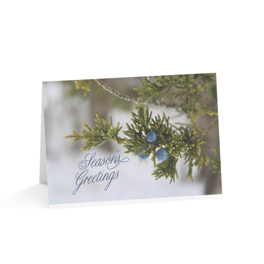 Holiday Cards, Red Cedar (1, 10, 30, and 50pcs)