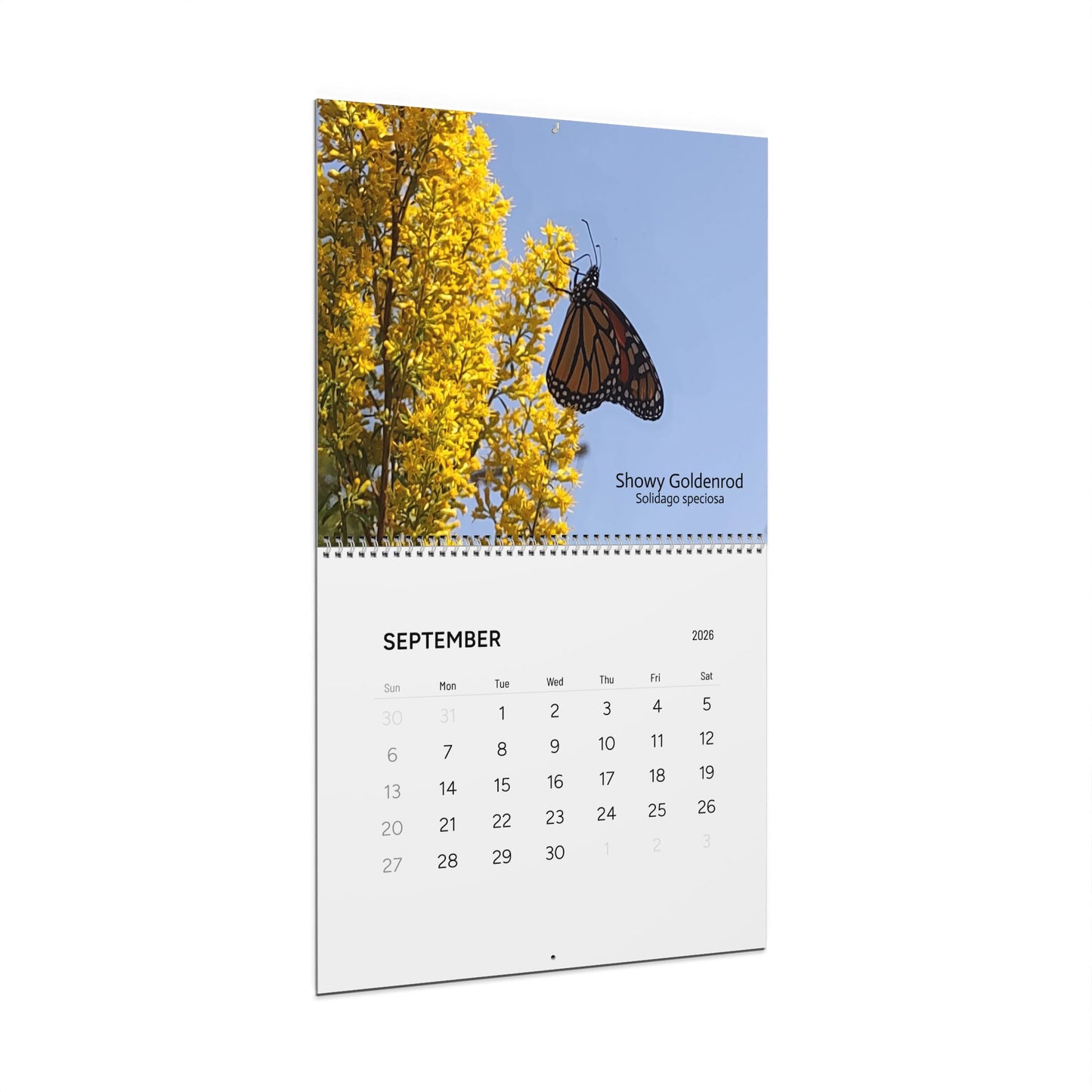 Calendar 2026, Wall, Native Plants of the Midwest and Northeast