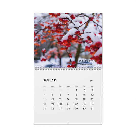 Calendar 2026, Wall, Native Plants of the Midwest and Northeast