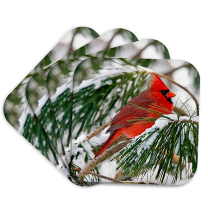 3dRose ToryAnne Collections Animals - Red and Black Cardinal Perched in Snowy Pine Tree - Coasters (CST_112146)