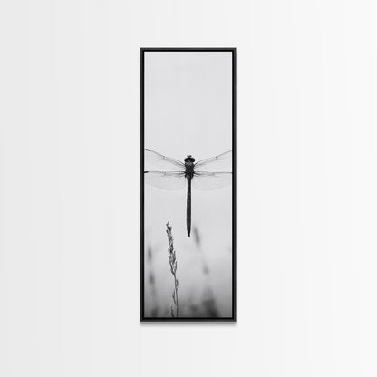 Dragonfly, Nature Wall Art, Insect Print, Minimalist Style, Canvas Print, Neutral Wall Decor, Bedroom Wall Art, Boho Botanical Insect