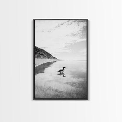 Lone Loon, Quiet Reflection, Coastal Bird, Framed Canvas Print, Nature Wall Art, Bathroom Decor, Serene Black and White Art