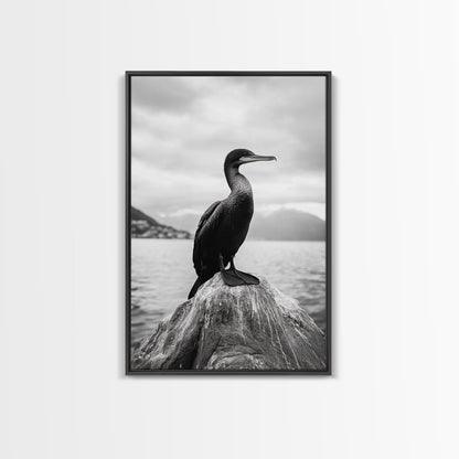 Coastal Bird Portrait, Nature Minimalism, Lake Decor, Monochrome Wildlife, Framed Canvas Print, Bedroom Wall Art, Bird Photography Print