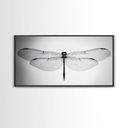 Dragonfly, line art, minimalist art, black and white art, nature painting, botanical prints, extra wide art, framed canvas print