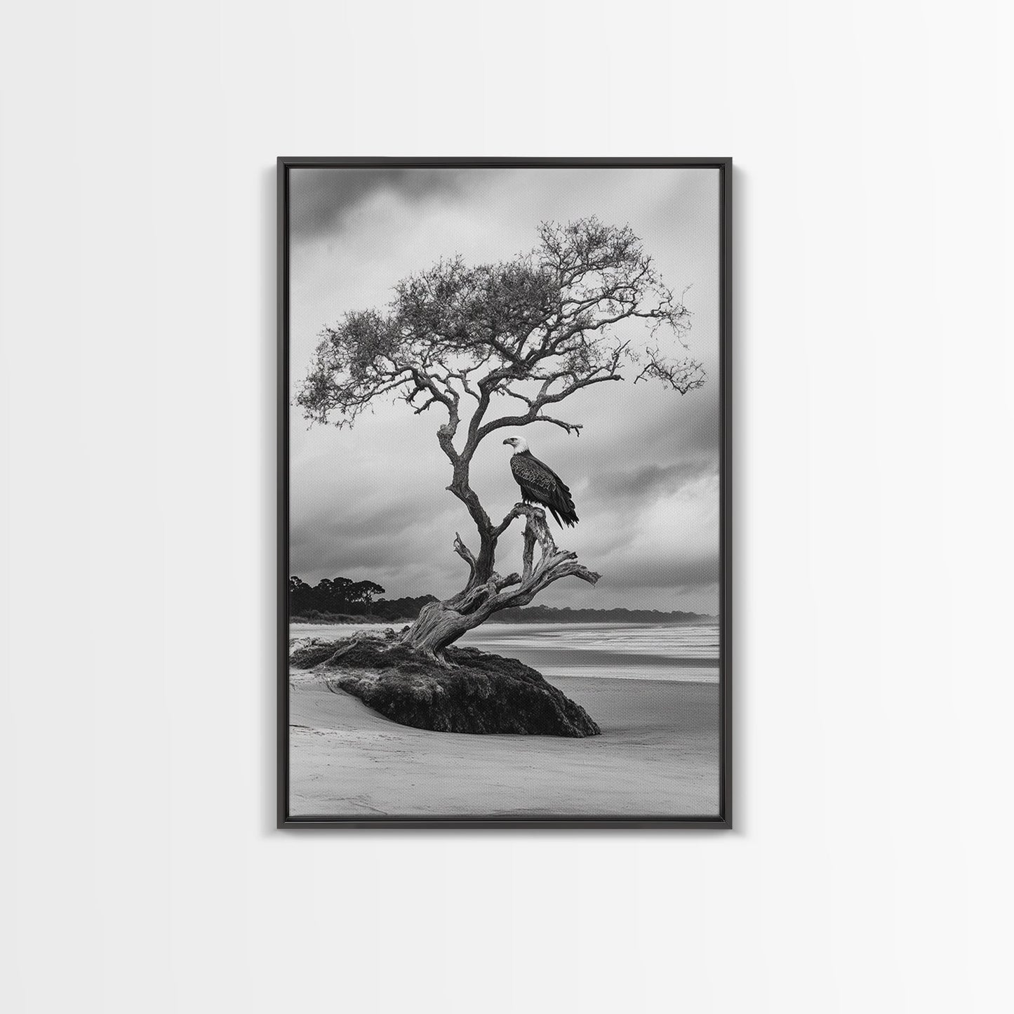 Bald eagle, nature wall art, moody art, wildlife photography, tree art, black and white art, above bed wall art, framed canvas print