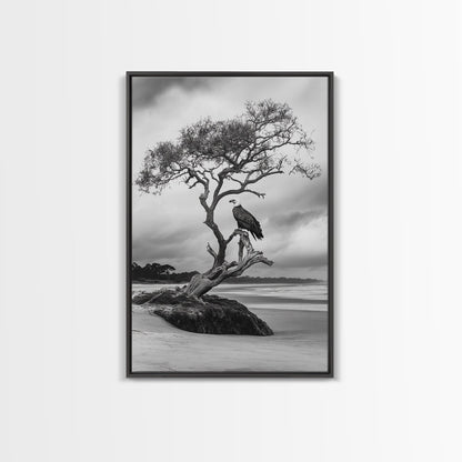 Bald eagle, nature wall art, moody art, wildlife photography, tree art, black and white art, above bed wall art, framed canvas print