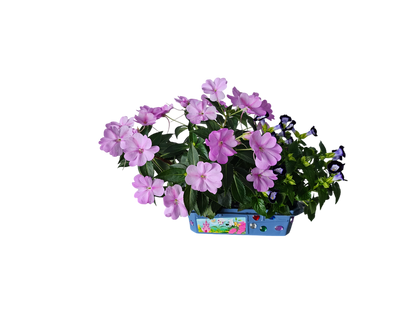 Flower Princess Palace Mini World Terrarium