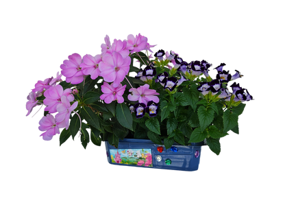 Flower Princess Palace Mini World Terrarium