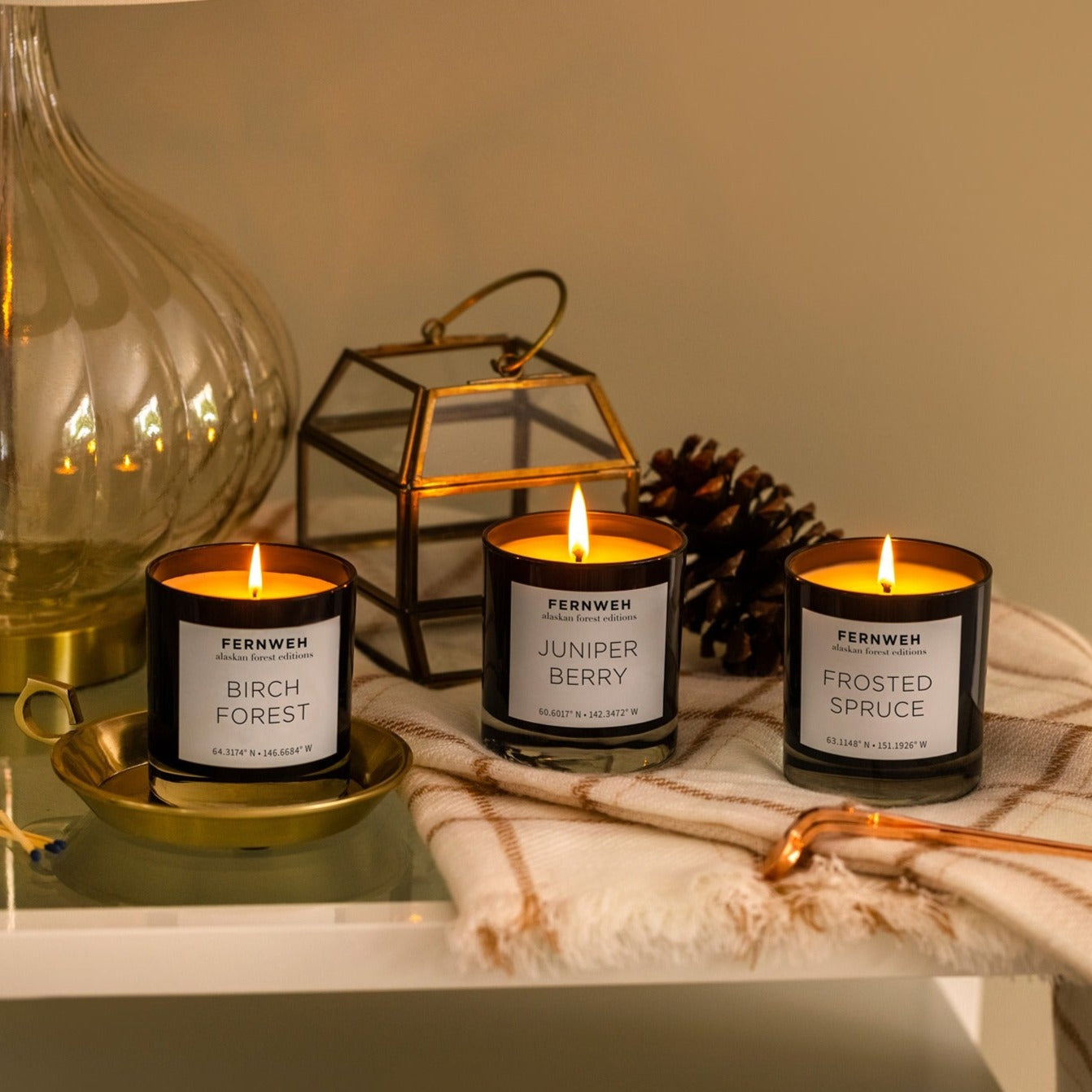 Juniper Berry Scented Soy Candle