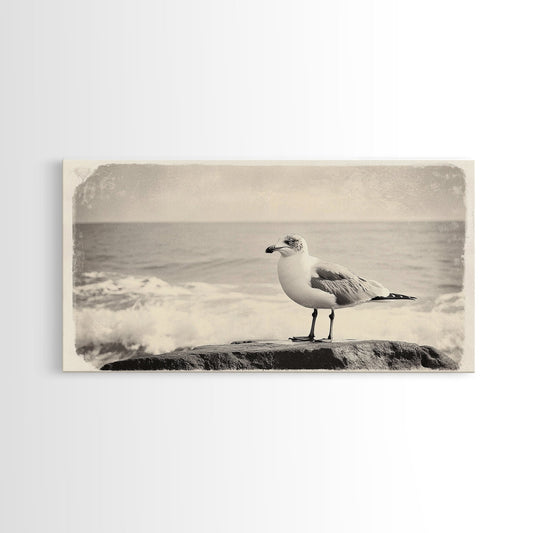 Seagull On Rock, Vintage Beach Bird, Coastal Wildlife Art, Ocean Breeze Vibes, Framed Canvas Print, Bathroom Wall Art, Retro Decor