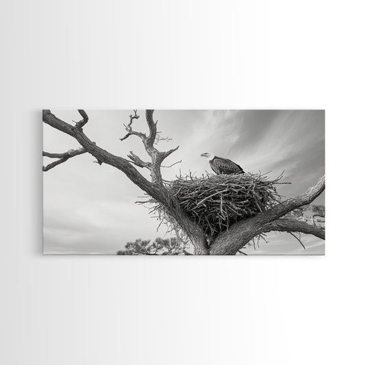 Bald Eagle Nest, Wildlife Nature Art, Rustic Cabin Decor, Framed Canvas Print, Patriotic Office Wall Art, Woodland Photography
