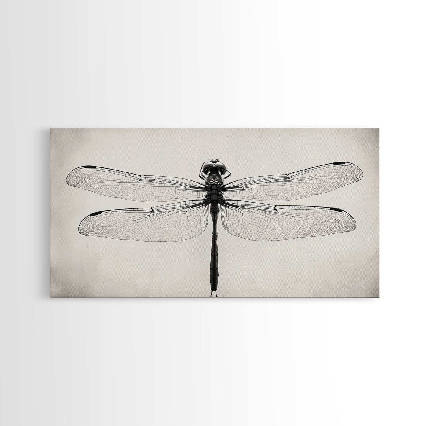 Dragonfly Sketch, Insect Art Print, Botanical Illustration, Minimalist Natural History, Framed Canvas Print, Office or Study Wall Art