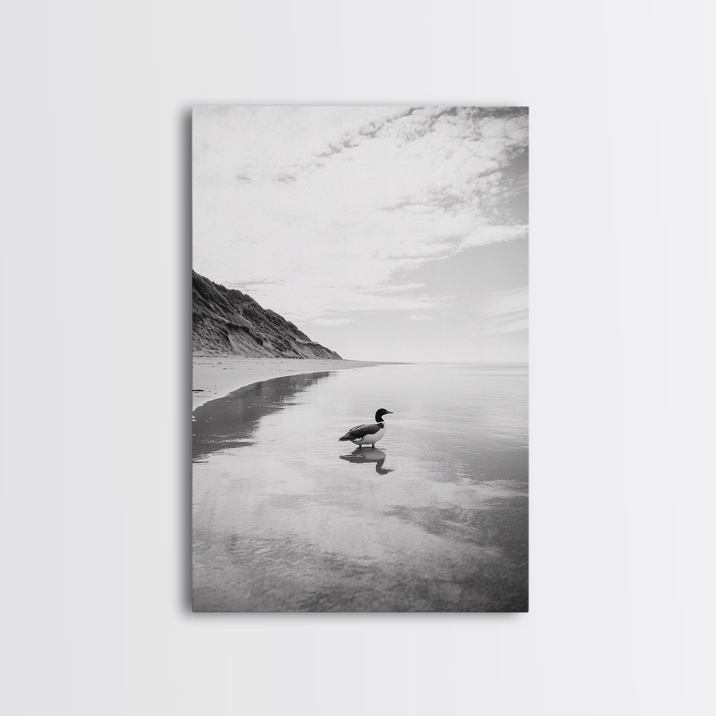 Lone Loon, Quiet Reflection, Coastal Bird, Framed Canvas Print, Nature Wall Art, Bathroom Decor, Serene Black and White Art