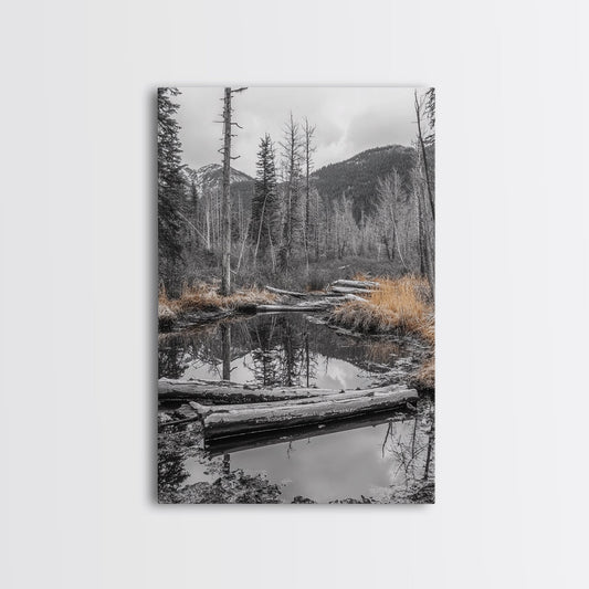 Forest Pond, Moody Woods, Black and White, Autumn Grass, Framed Canvas Print rustic cabin art, nature wall decor, woodland living room art