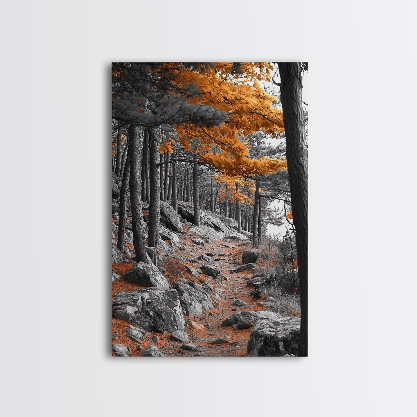 Autumn Forest Path, Orange Leaves, Rocky Woods Trail, Tranquil Nature, Framed Canvas Print, Fall Decor, Cabin Wall Art, Rustic Style