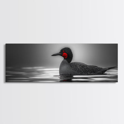 Red-Eyed Loon, Waterbird, Monochrome Beauty, Wildlife Portrait, Framed Canvas Print, Cabin Wall Art, Bird Lover Gift, Nature Photography