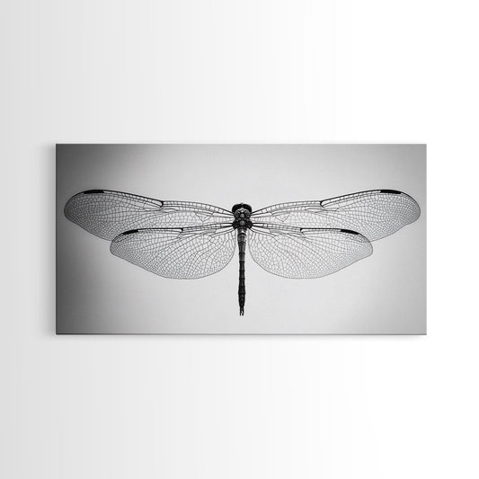 Dragonfly, line art, minimalist art, black and white art, nature painting, botanical prints, extra wide art, framed canvas print