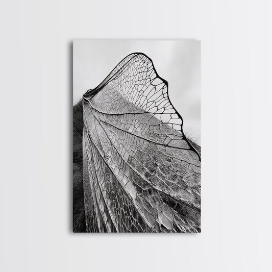 Dragonfly Wing, nature photography, moody art, wabi sabi art, minimalist art, botanical prints, framed canvas print, rustic wall art