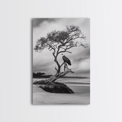Bald eagle, nature wall art, moody art, wildlife photography, tree art, black and white art, above bed wall art, framed canvas print