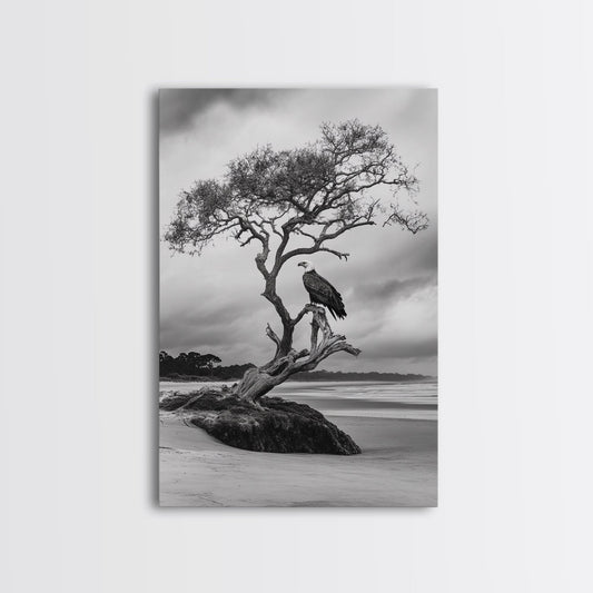 Bald eagle, nature wall art, moody art, wildlife photography, tree art, black and white art, above bed wall art, framed canvas print