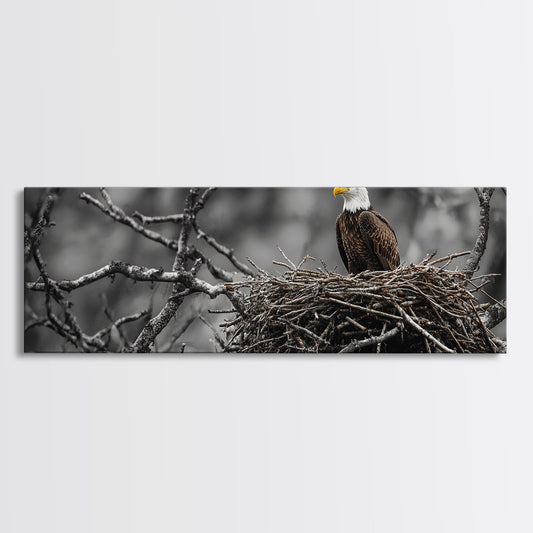 Bald Eagle, Nature Wall Art, Rustic Art, Wildlife Photography, Bird Art, Above Sofa Art, Panoramic Art, Framed Canvas Print