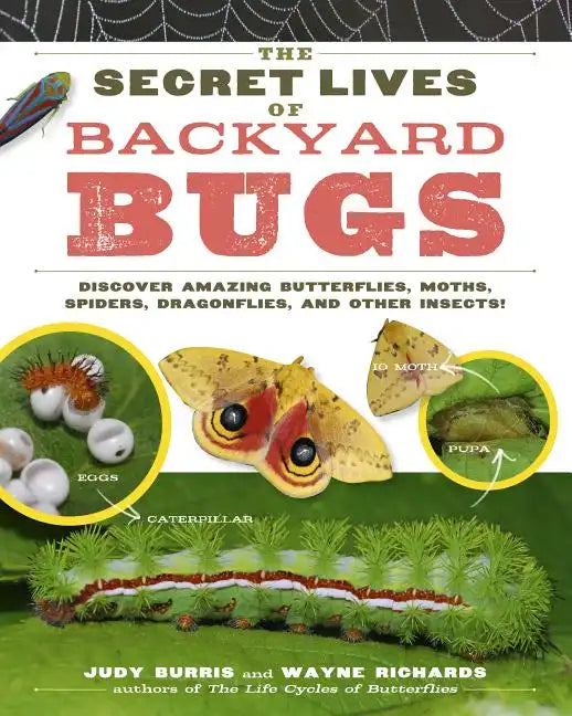 The Secret Lives of Backyard Bugs: Discover Amazing Butterflies, Moths, Spiders, Dragonflies, and Other Insects! - Paperback