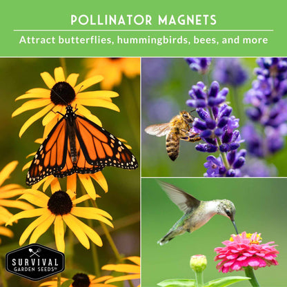 Functional Flower Garden Kit - 36 Seeds for Beauty, Bees & Wellness