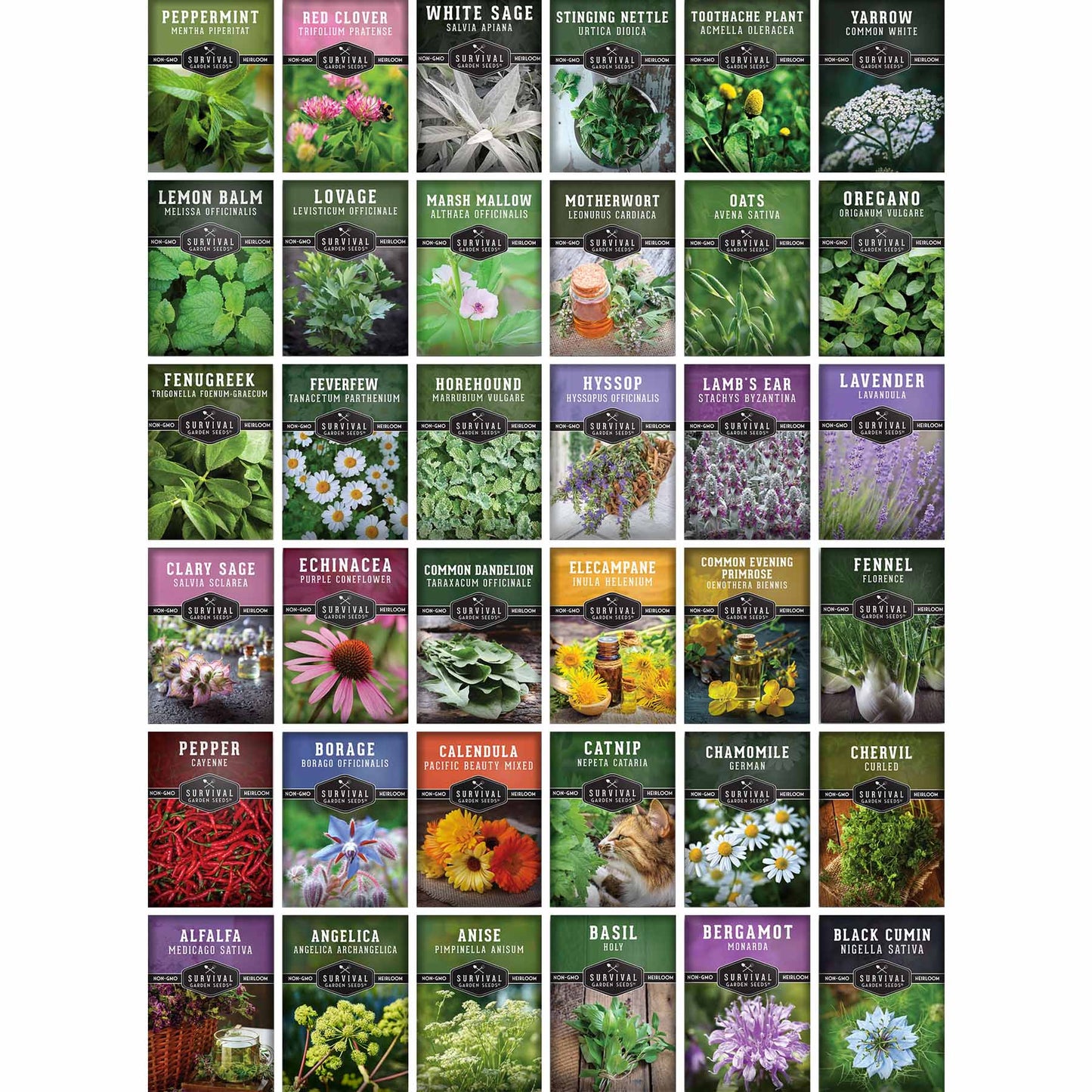 Medicinal Herb Garden - 36 Heirloom Seed Varieties for a Wellness Garden
