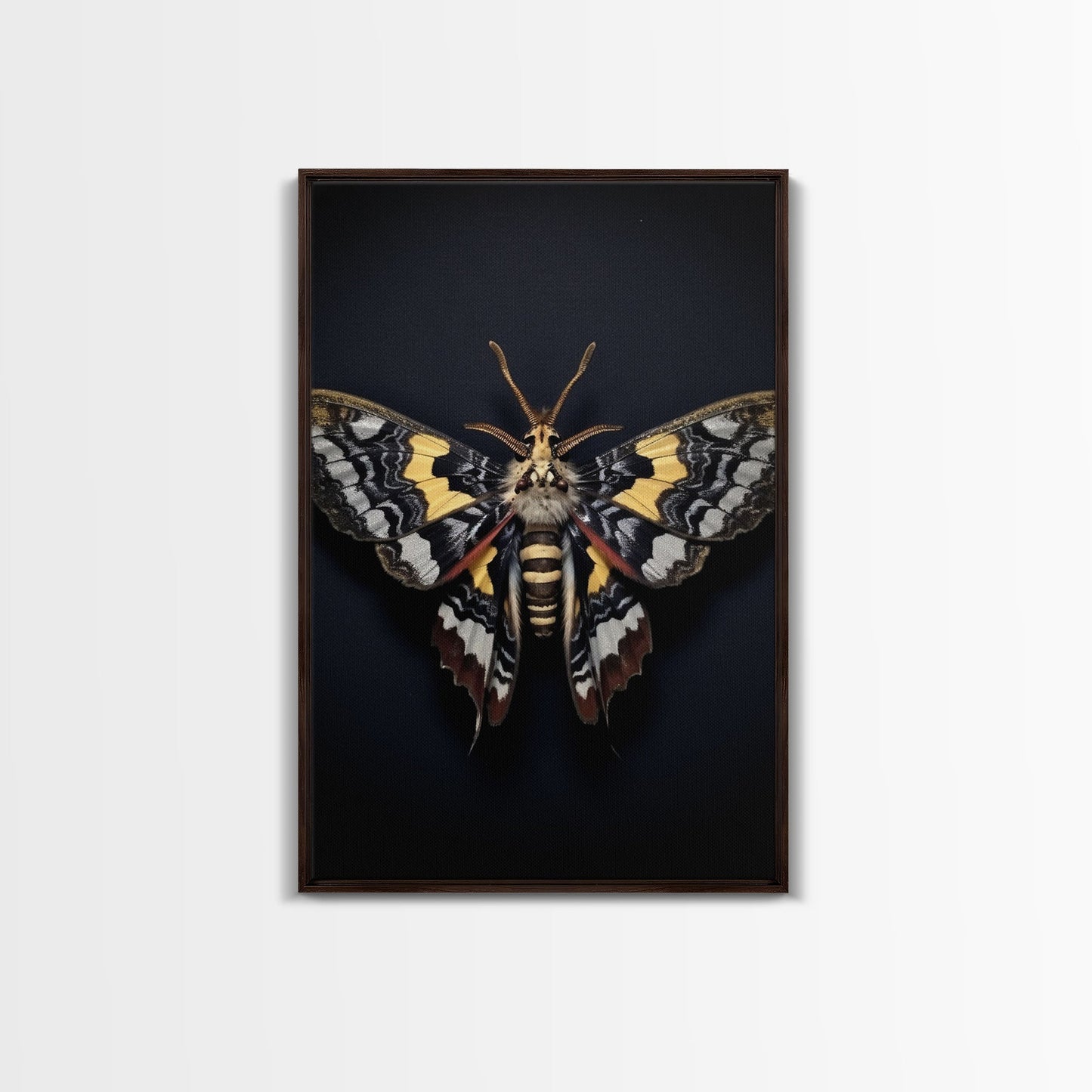Framed Death Head Moth Canvas Print, Acherontia, Taxidermy Art, Dried Butterfly Print, Bug Wall Art Hanging Decor, Goth Art, Halloween Art