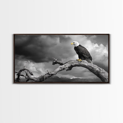Eagle, Branch, Storm, Power and grace collide in this Framed Canvas Print of a majestic eagle perched before a storm, Living Room Wall Art