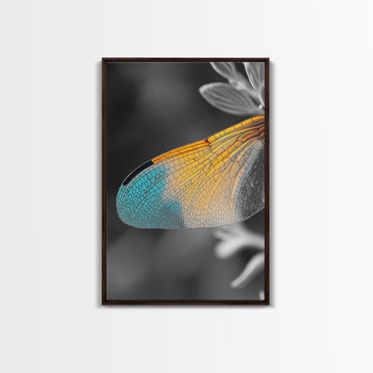 Wing Detail, Colorful Insect, Macro Nature, Blue Orange Wing, Framed Canvas Print, Natural Science Art, Entomology Wall Accent