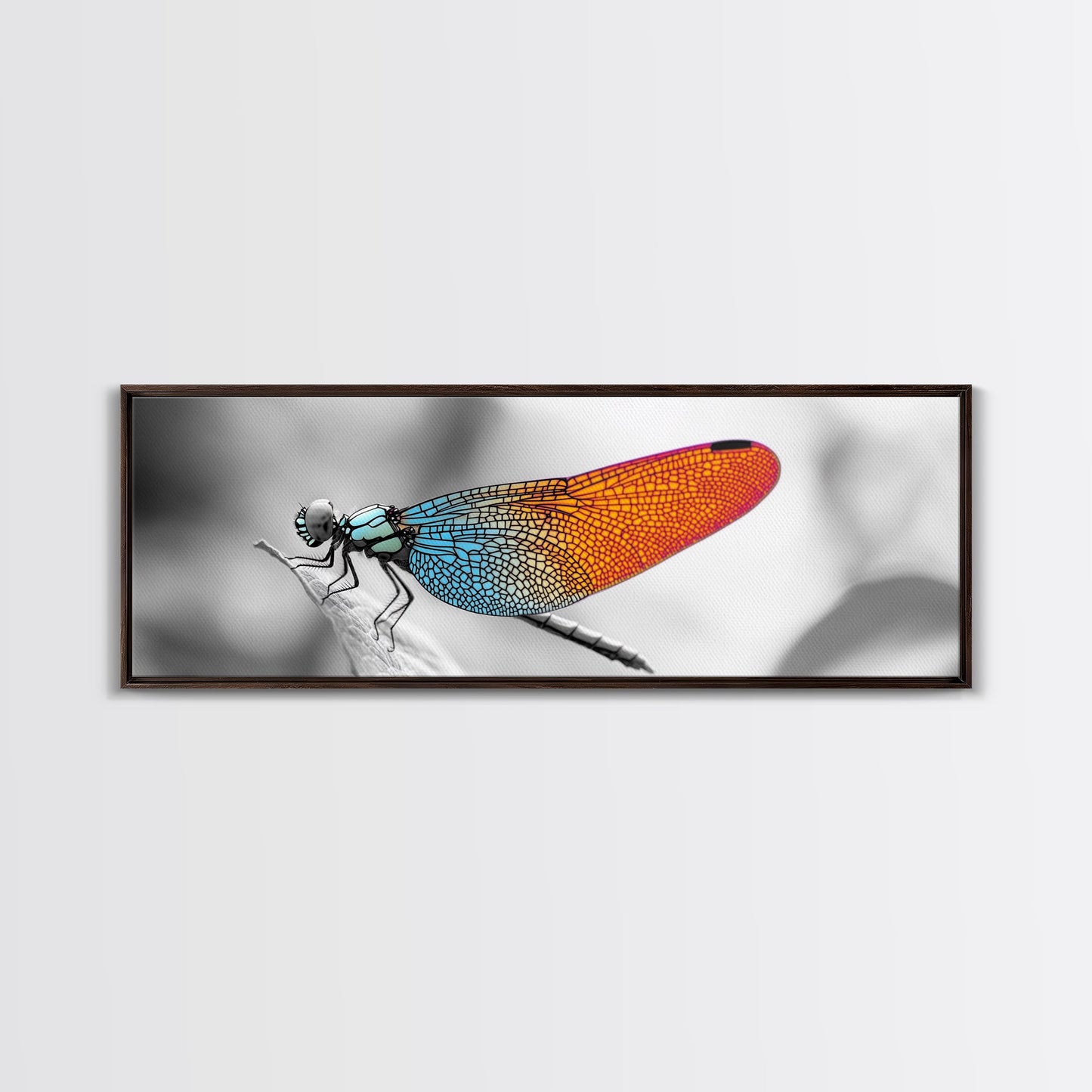 Closeup Dragonfly, Colorful Wings, Abstract Nature, Macro Art — Framed Canvas Print, Living Room Decor, Botanical Wall Art, Modern Minimal