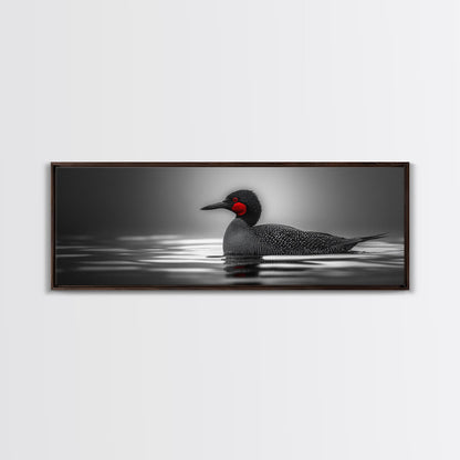 Red-Eyed Loon, Waterbird, Monochrome Beauty, Wildlife Portrait, Framed Canvas Print, Cabin Wall Art, Bird Lover Gift, Nature Photography