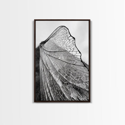 Dragonfly Wing, nature photography, moody art, wabi sabi art, minimalist art, botanical prints, framed canvas print, rustic wall art