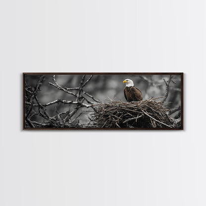 Bald Eagle, Nature Wall Art, Rustic Art, Wildlife Photography, Bird Art, Above Sofa Art, Panoramic Art, Framed Canvas Print