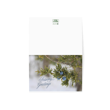 Holiday Cards, Red Cedar (1, 10, 30, and 50pcs)