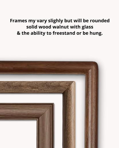 Yellow Swallowtail Butterfly Limited Edition Framed Print