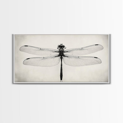 Dragonfly Sketch, Insect Art Print, Botanical Illustration, Minimalist Natural History, Framed Canvas Print, Office or Study Wall Art