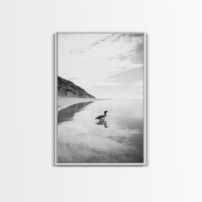 Lone Loon, Quiet Reflection, Coastal Bird, Framed Canvas Print, Nature Wall Art, Bathroom Decor, Serene Black and White Art