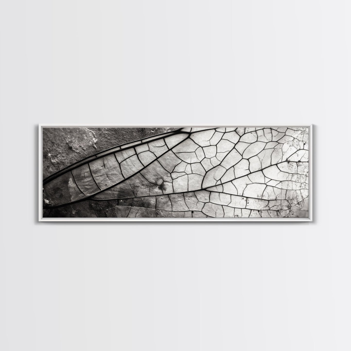 Macro Insect Wing, Abstract Nature Texture, Modern Neutral Wall Decor, Framed Canvas Print, Office Art, Monochrome Macro Photography