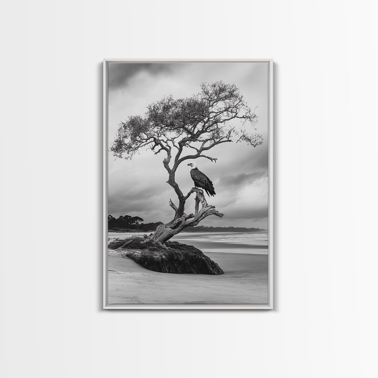 Bald eagle, nature wall art, moody art, wildlife photography, tree art, black and white art, above bed wall art, framed canvas print